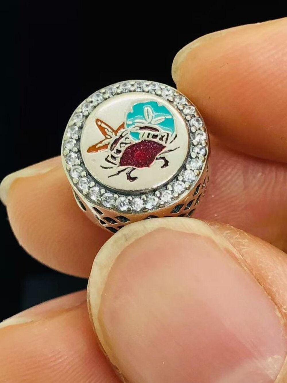✨🔥Pandora Caribbean Beach Exclusive Island Country Button Charm